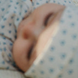 Konges Sløjd A/S SETS punto blu