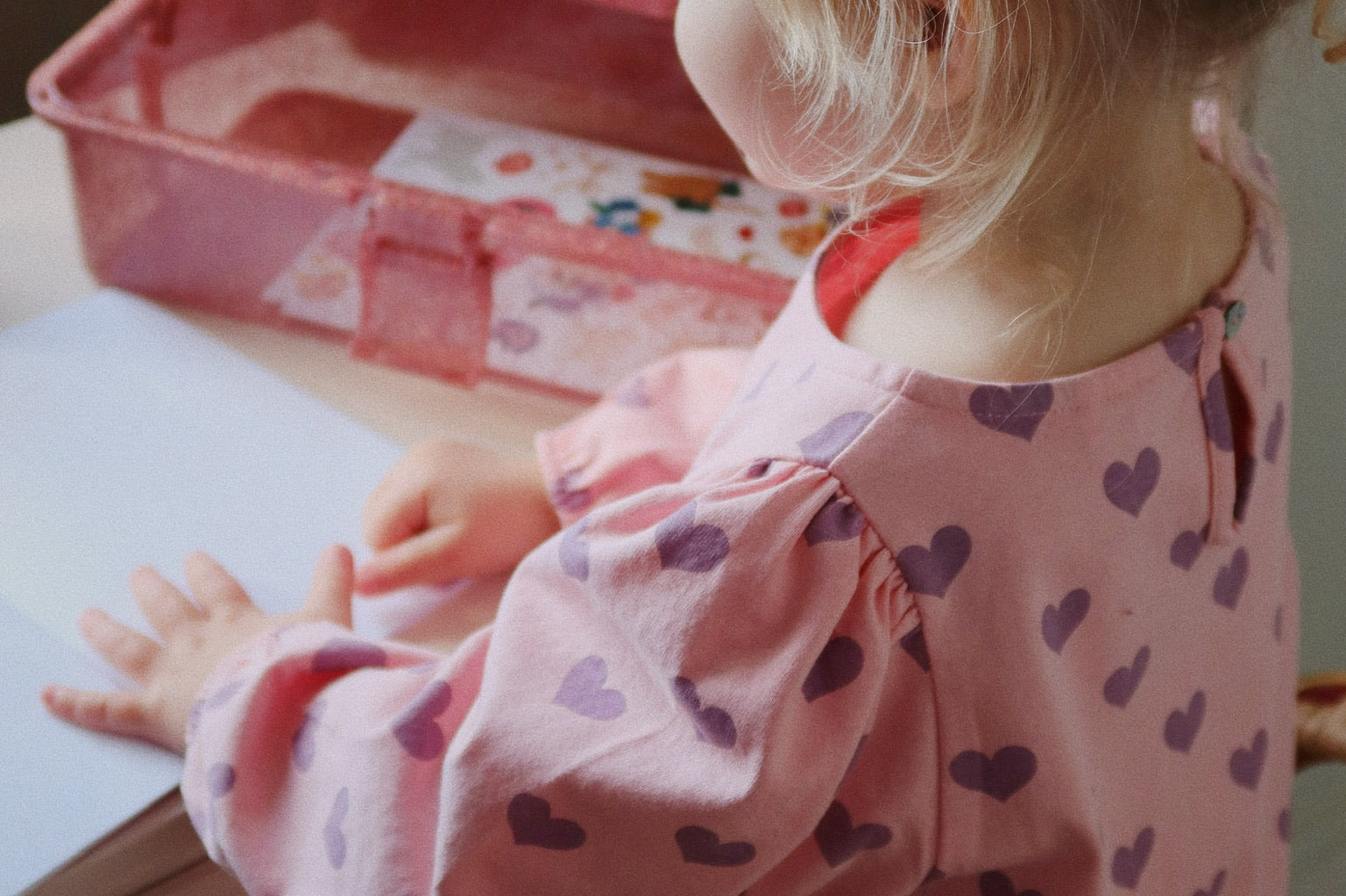 Konges Sløjd A/S JERSEY BLOUSES hortensia coeur