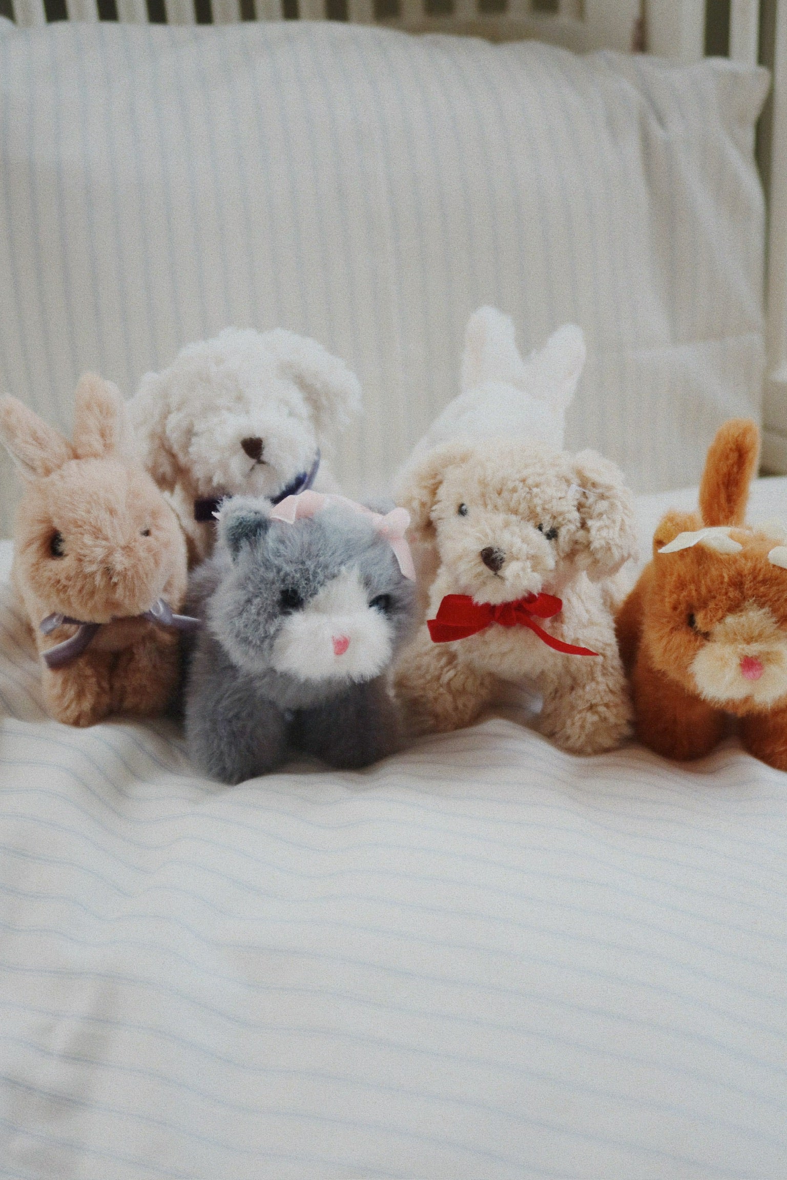 ベア Our Retailers INT – kongessloejd.com