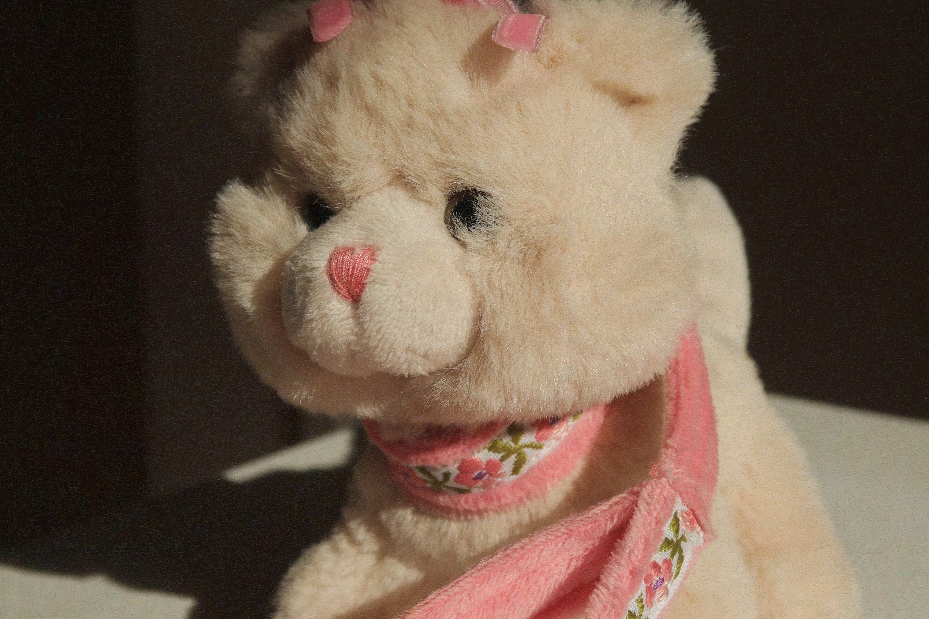 Konges Sløjd A/S TEDDY BEARS cat