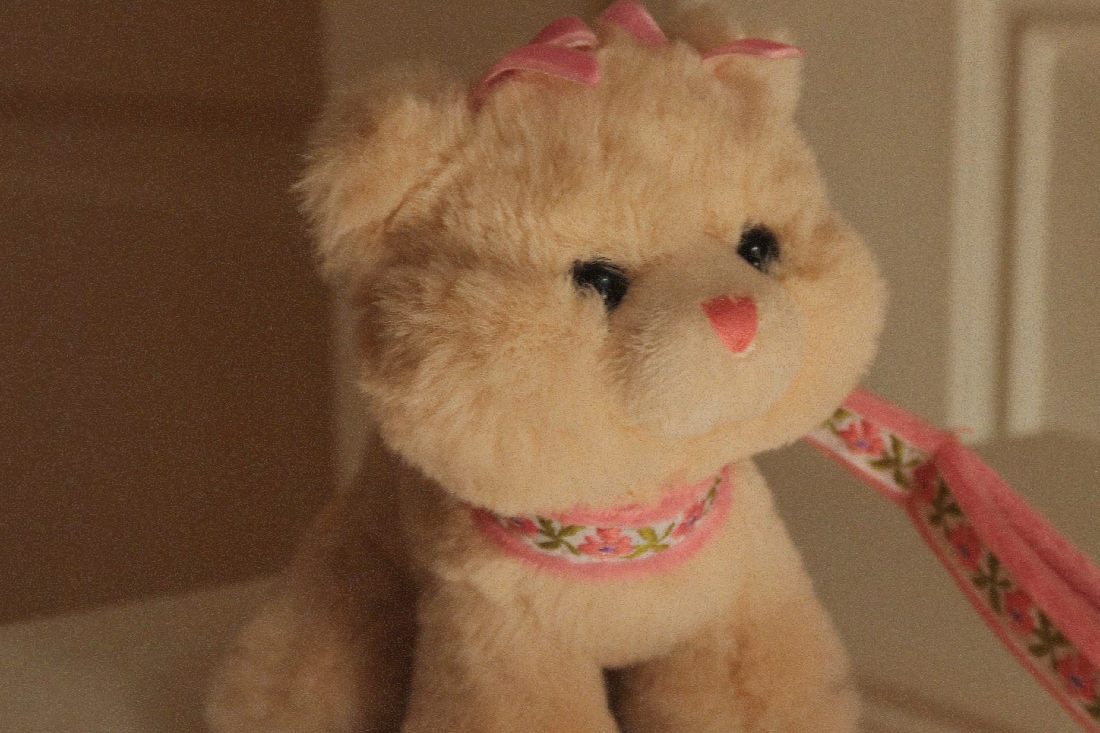 Konges Sløjd A/S TEDDY BEARS cat