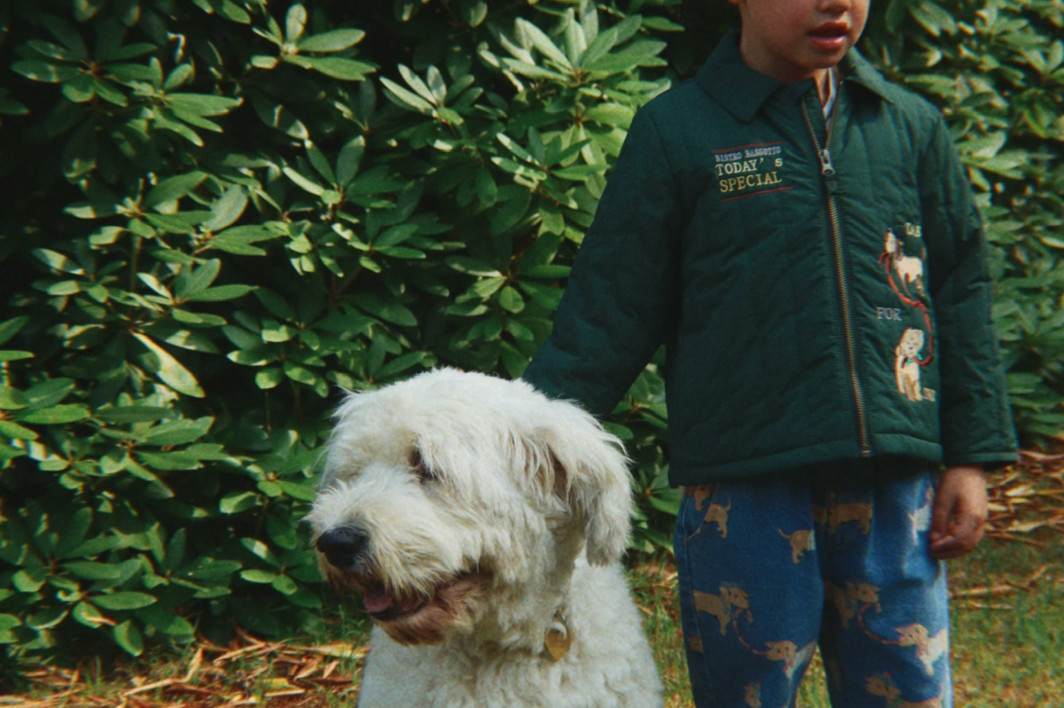 Konges Sløjd A/S THERMOWEAR pine grove