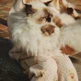 Konges Sløjd A/S JERSEY PANTS miao amore