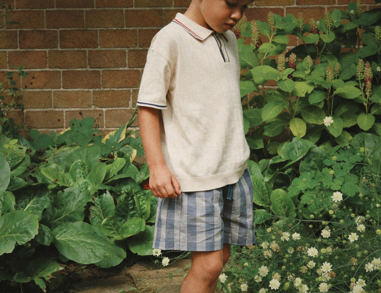 Konges Sløjd A/S WOVEN SHORTS & BLOOMERS flint check/cilantro