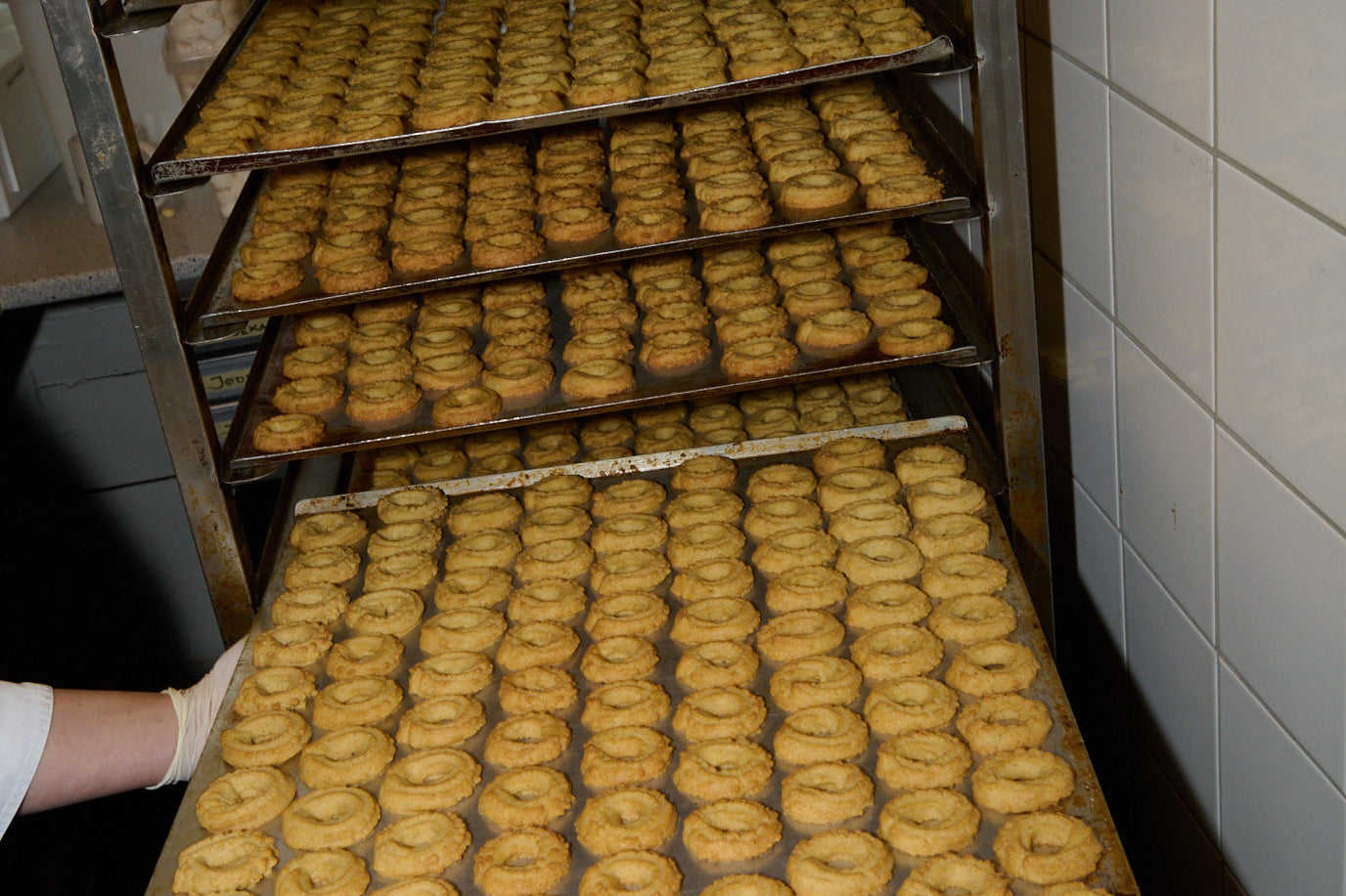 Konges Sløjd A/S JERSEY BLOUSES eden