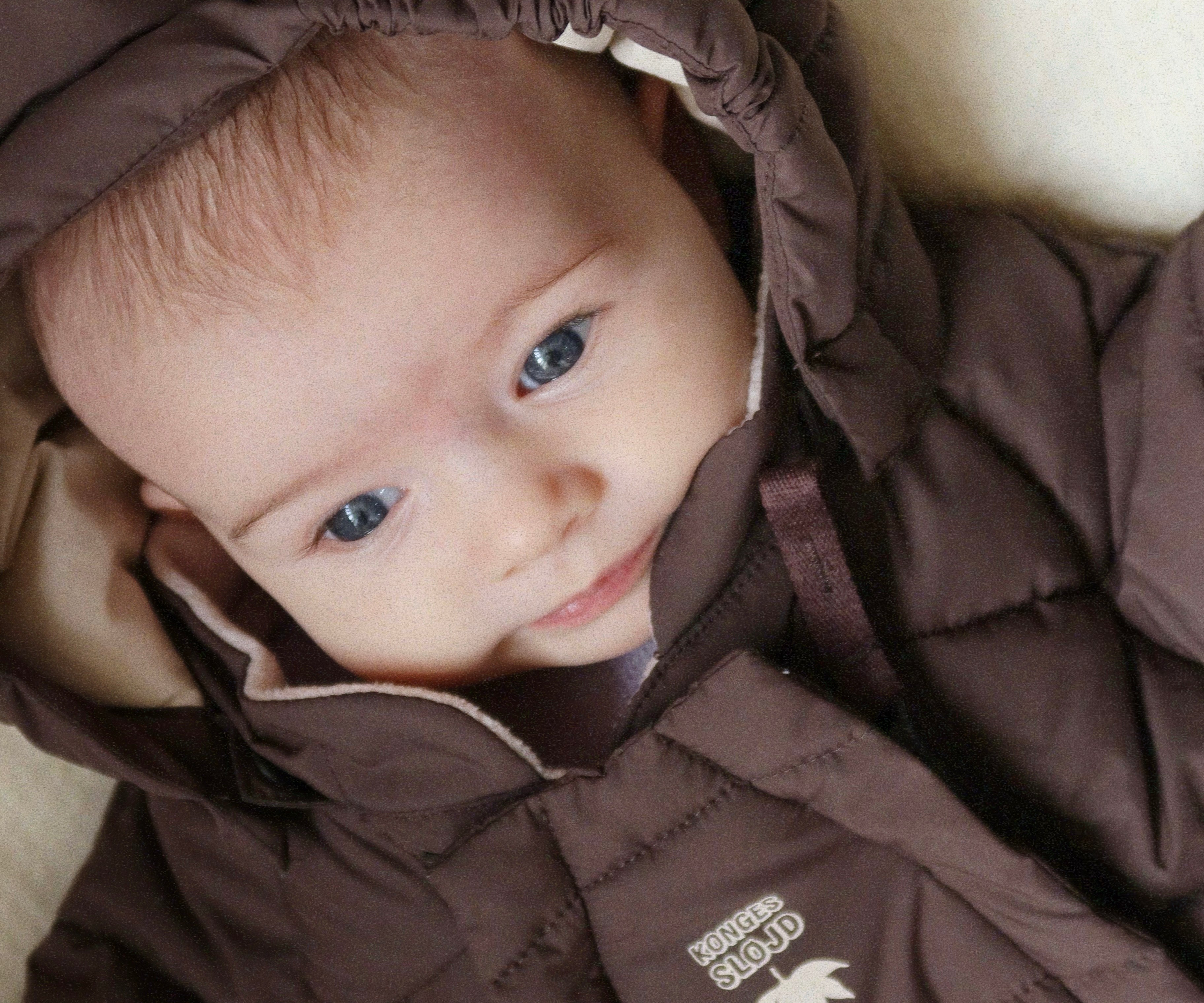 Konges Sløjd A/S WINTER WEAR chocolate brown