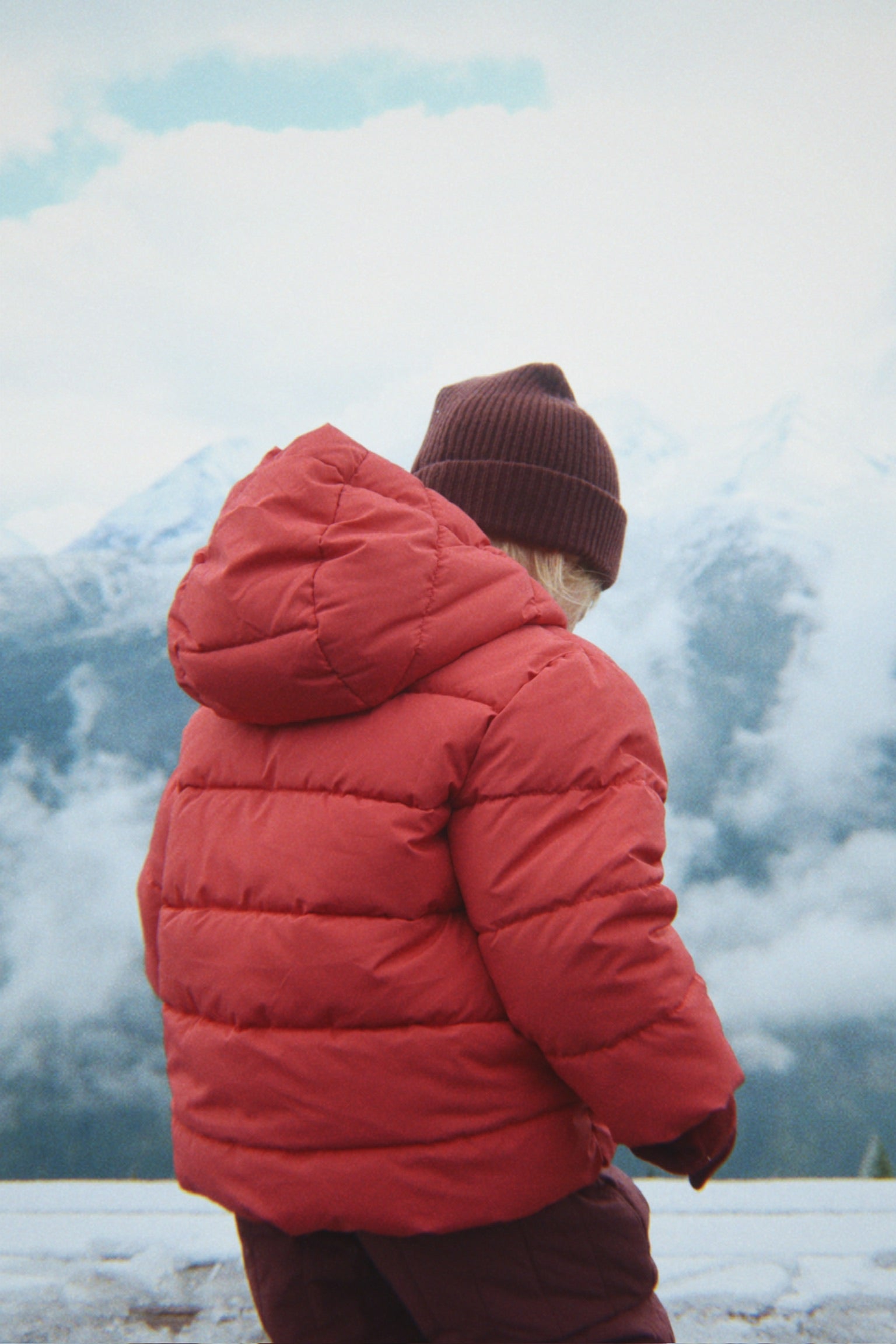 Jody Teddy Jacket - vitamins – Konges Sløjd®