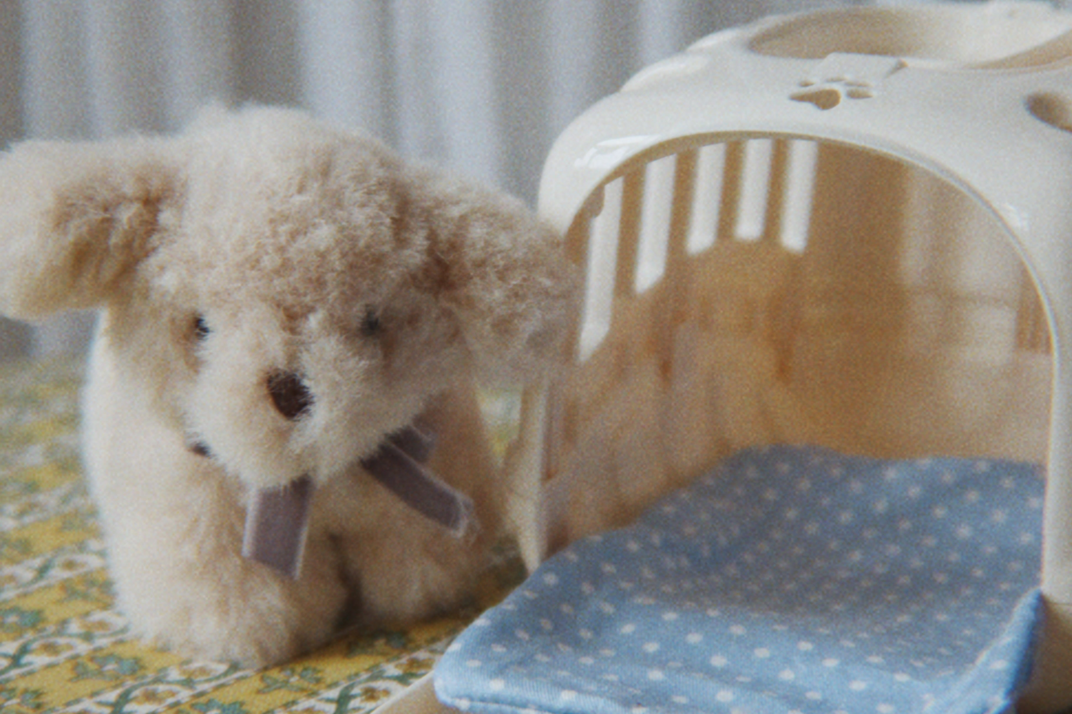 Konges Sløjd A/S TEDDY BEARS dog