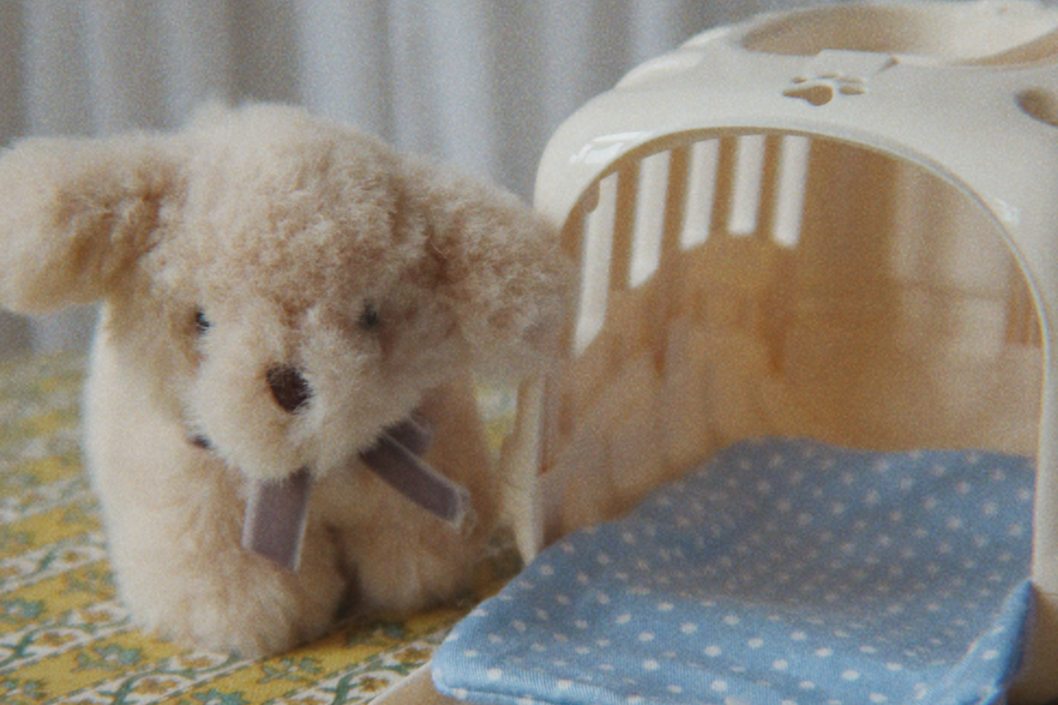 Konges Sløjd A/S TEDDY BEARS dog