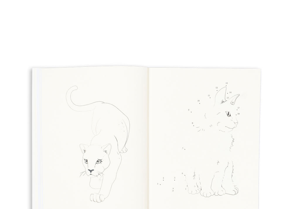 Konges Sløjd A/S CREATIVE PLAY multi