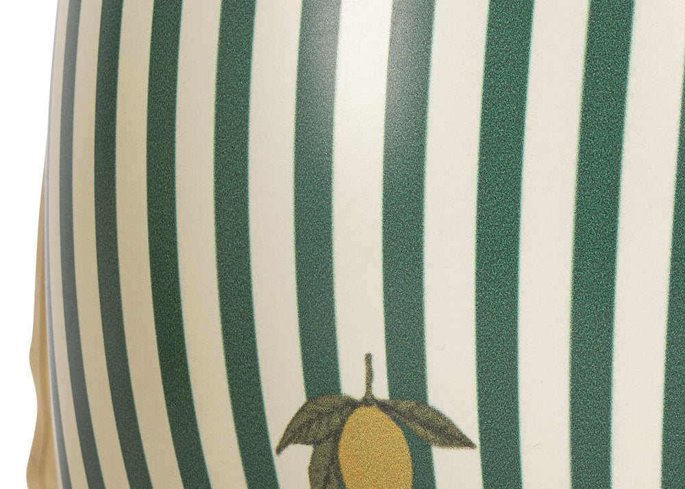 Konges Sløjd A/S SWIM WINGS green stripe