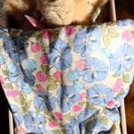 Konges Sløjd A/S TEDDY BEARS green check